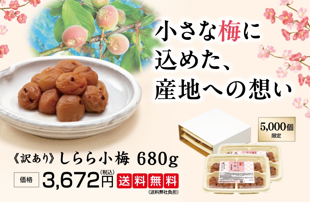 訳ありしらら小梅